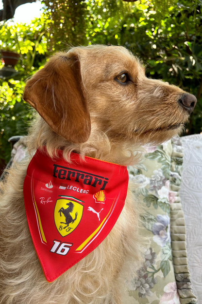 Bandana con Collar Ajustable para Perros y Gatos – Fórmula 1 -LECLERC