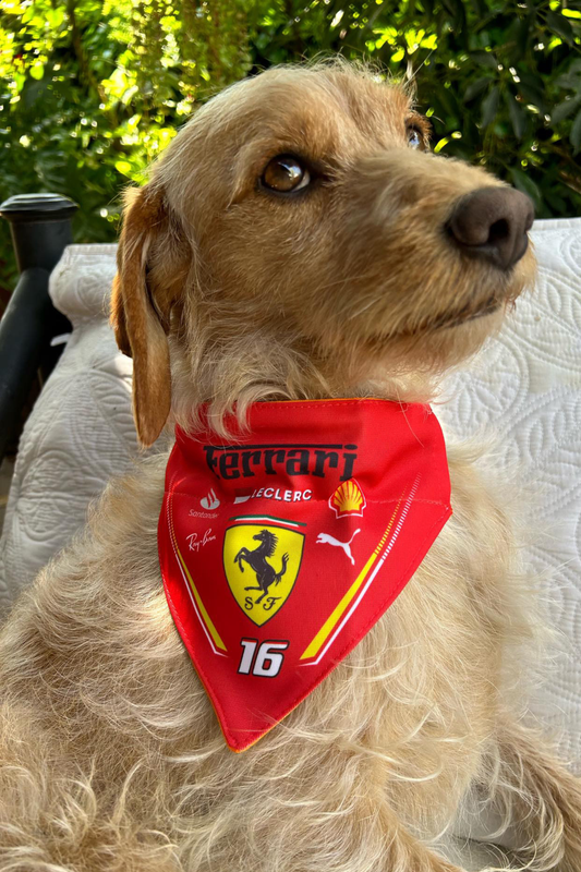 Bandana con Collar Ajustable para Perros y Gatos – Fórmula 1 -LECLERC