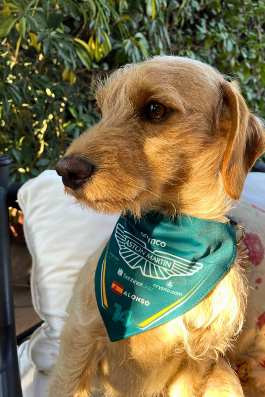 Bandana con Collar Ajustable para Perros y Gatos – Fórmula 1 -ALONSO