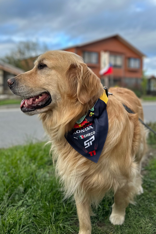 Bandana con Collar Ajustable para Perros y Gatos – Fórmula 1 -CHECO