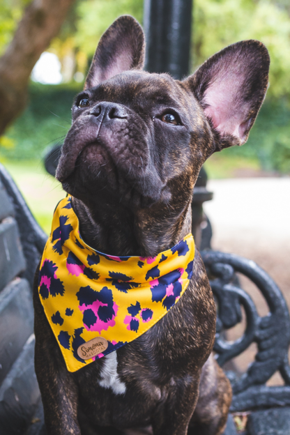 Bandana con collar ajustable para perros y gatos - Yellow print