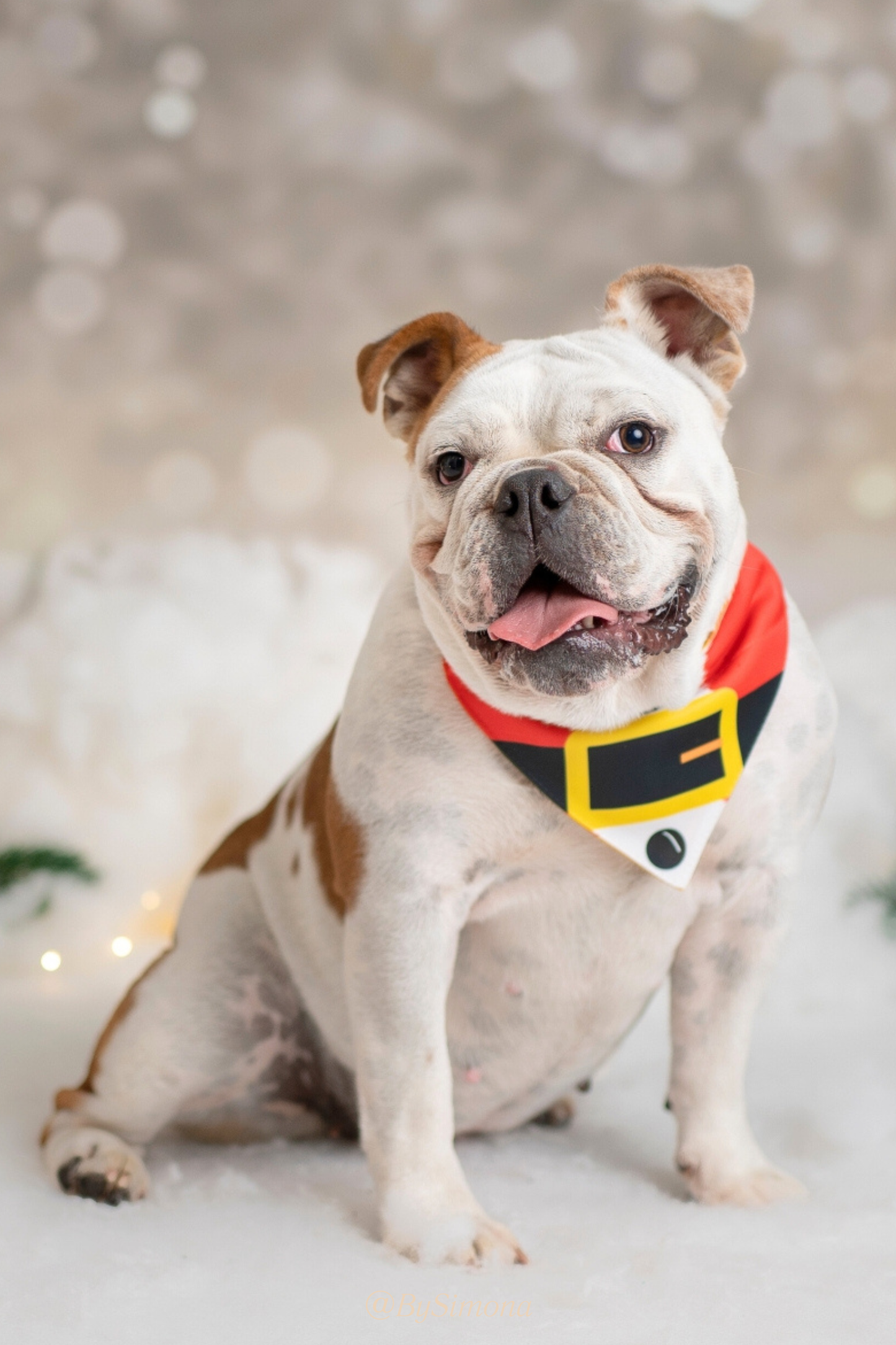 Bandana con collar para perros y gatos - Santa