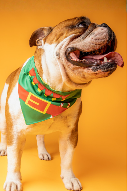 Bandana con collar para perros y gatos - Ayudante