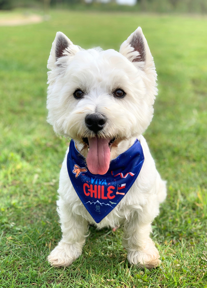 CORDILLERA CHILENA ✈