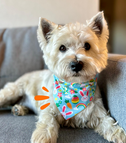Bandana para Mascotas ARCOÍRIS 🐰🌈