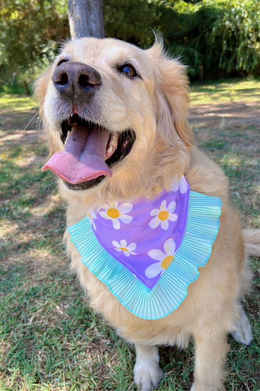 Bandana Menta