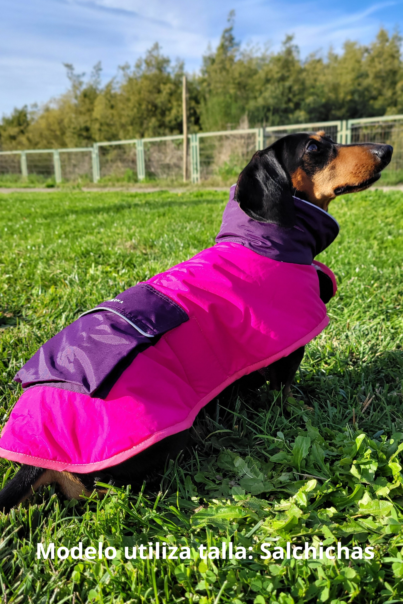 Parka Impermeable para Perros Fucsia + Bandana de regalo