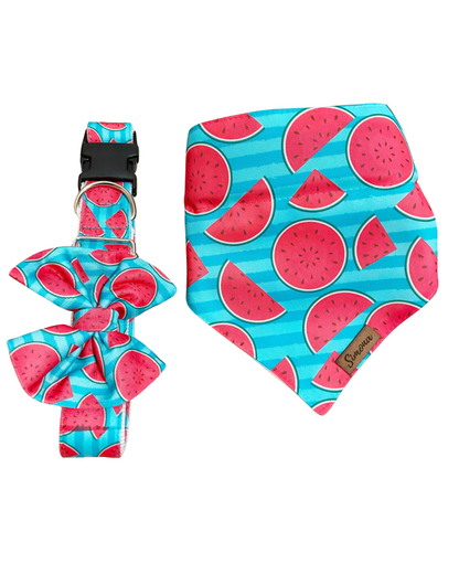 Conjunto Sandía