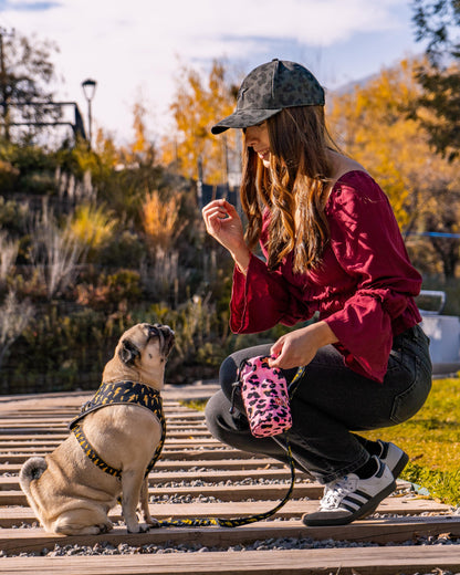 Bolso dispensador de Snacks y bolsa de paseo Pink Print