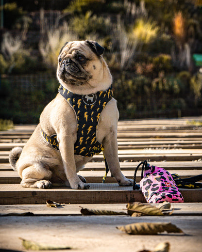Bolso dispensador de Snacks y bolsa de paseo Pink Print