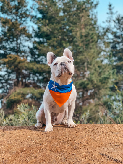 BANDANA BANDERA CHILENA