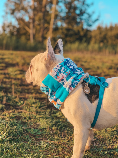 Cuello para perro diseño Dogyz