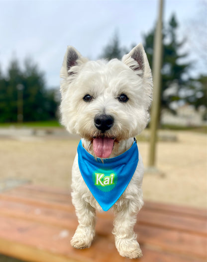 Bandana Personalizada con Collar Ajustable para Mascotas – Diseño MUÑECO