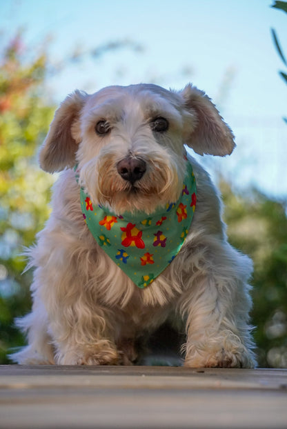 Bandana Globitos 🎈