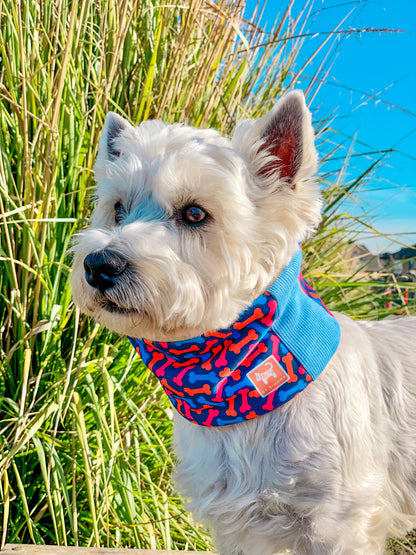 Cuello para perro diseño Bones