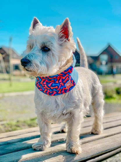 Cuello para perro diseño Bones