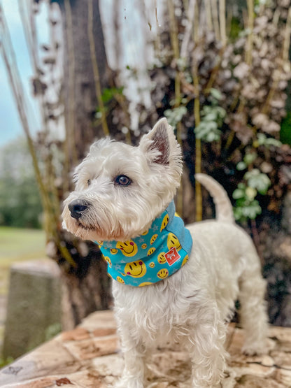 Cuello para perro diseño Best day