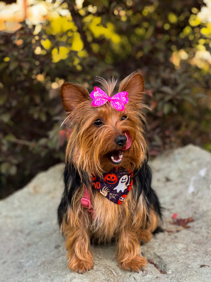 Bandana con Collar Balloon 🎃