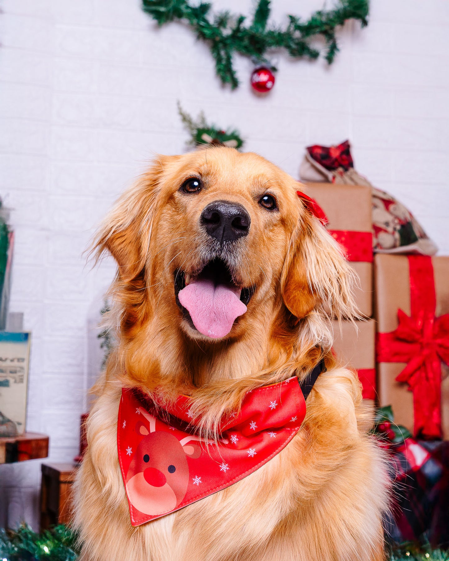 Bandana con collar para perros y gatos - Reno