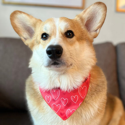 Bandana Corazones