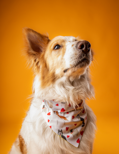 Bandana Love