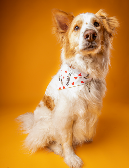 Bandana Love