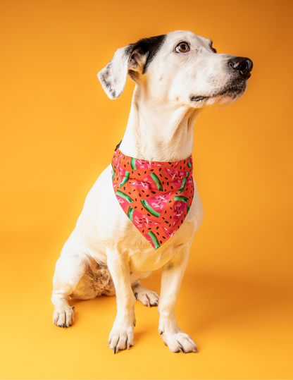 Bandana Sandías 🍉