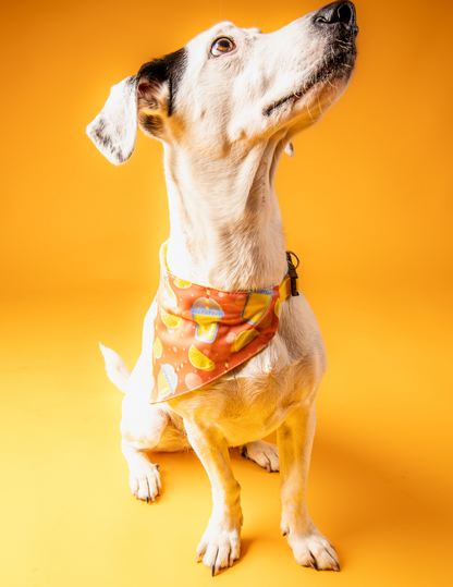 Bandana Limonada 🍋