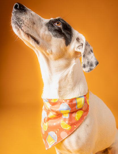 Bandana Limonada 🍋