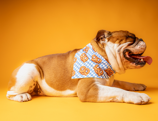 Bandana Pretzel 🥨
