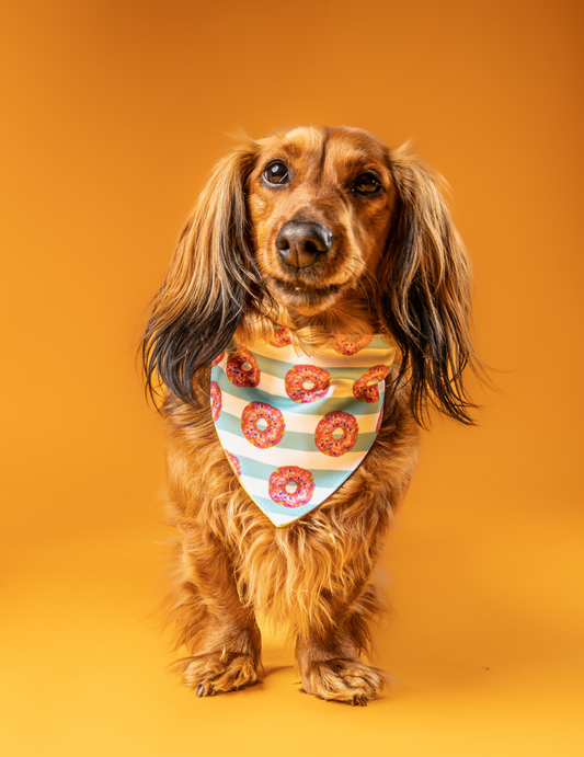 Bandana Donuts 🍩