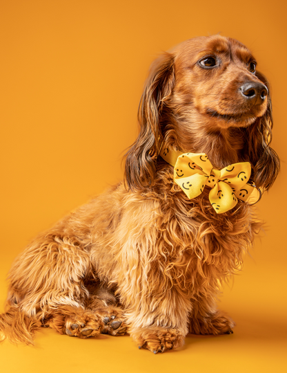 COLLAR + CORBATÍN SMILE 😀