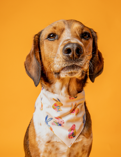Bandana Conejitos 🐰