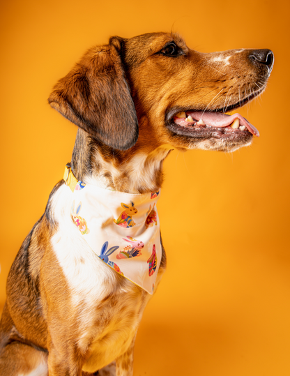 Bandana Conejitos 🐰