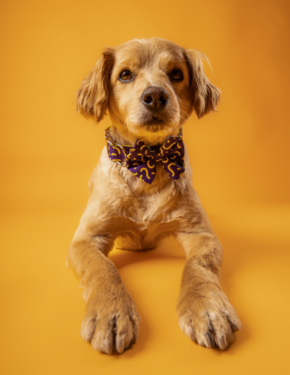 COLLAR + CORBATÍN PARTY 🥳