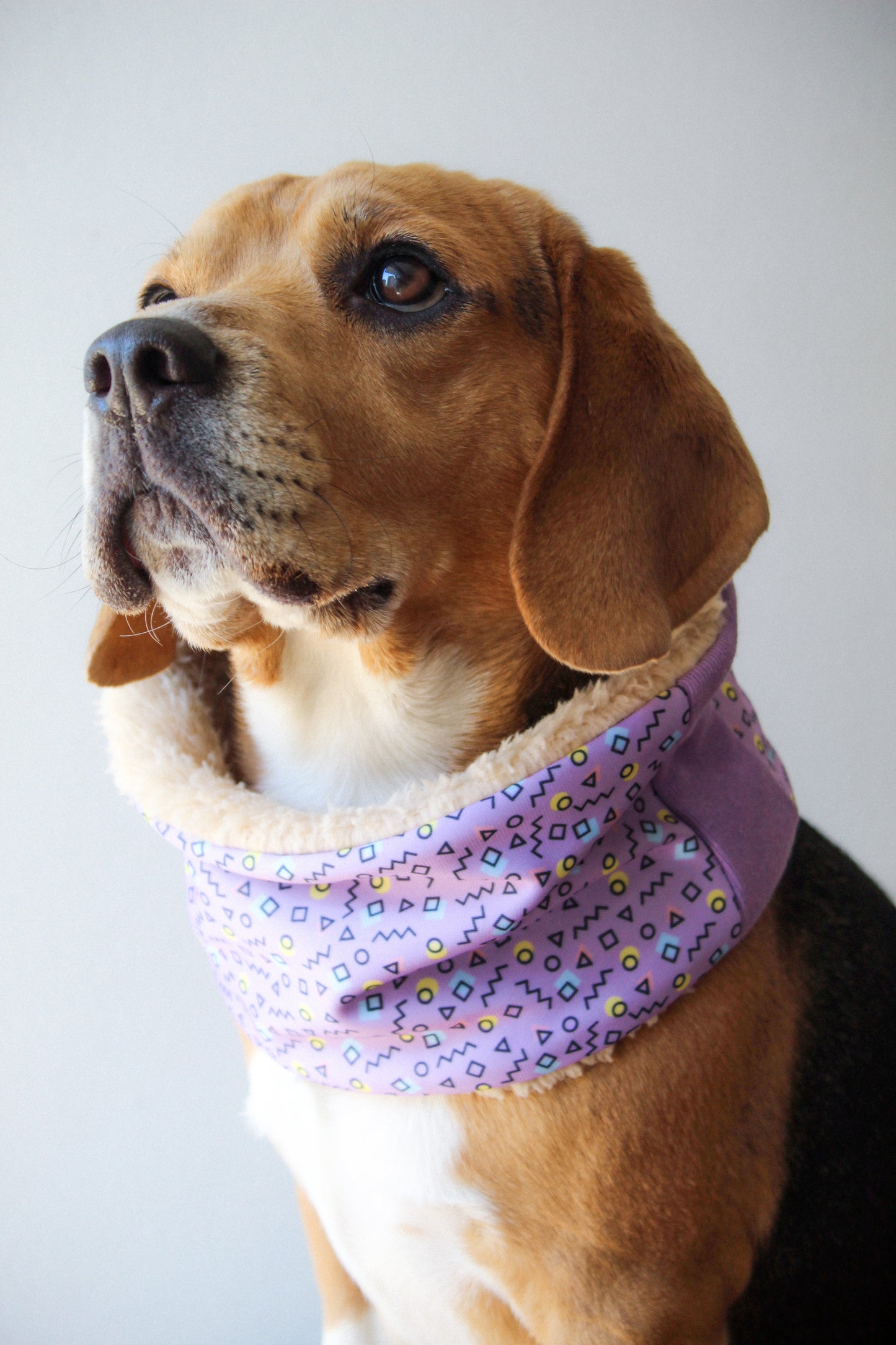 Cuello con Peludito para Mascotas CAMO