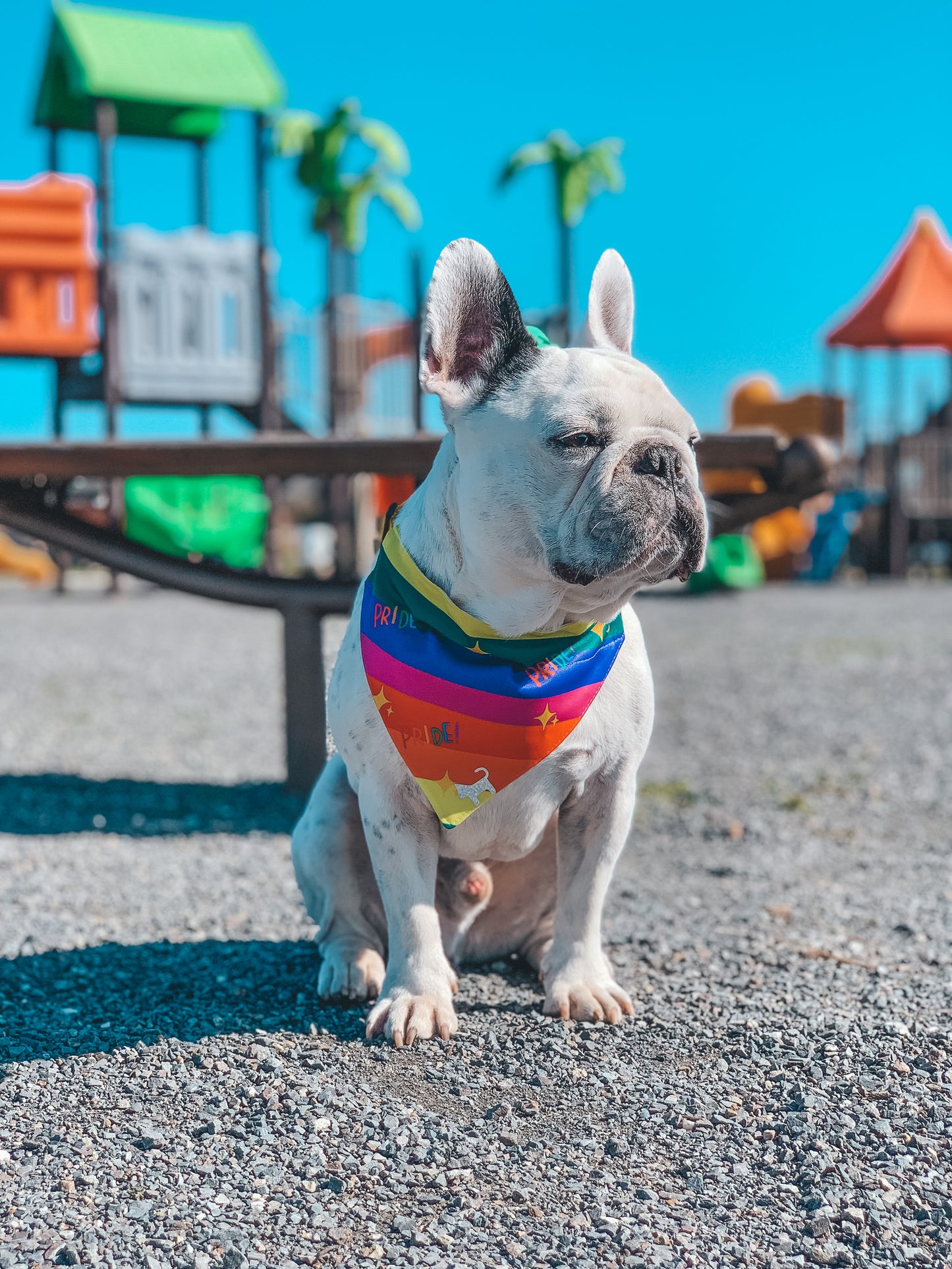 PRIDE 🌈