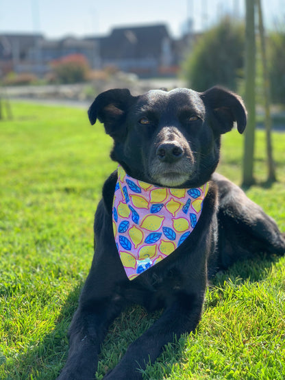 Bandana Limonada🍋