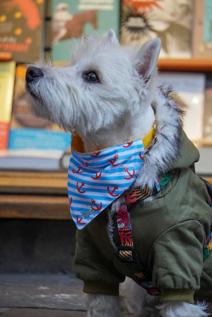 Bandana Sailor🚢