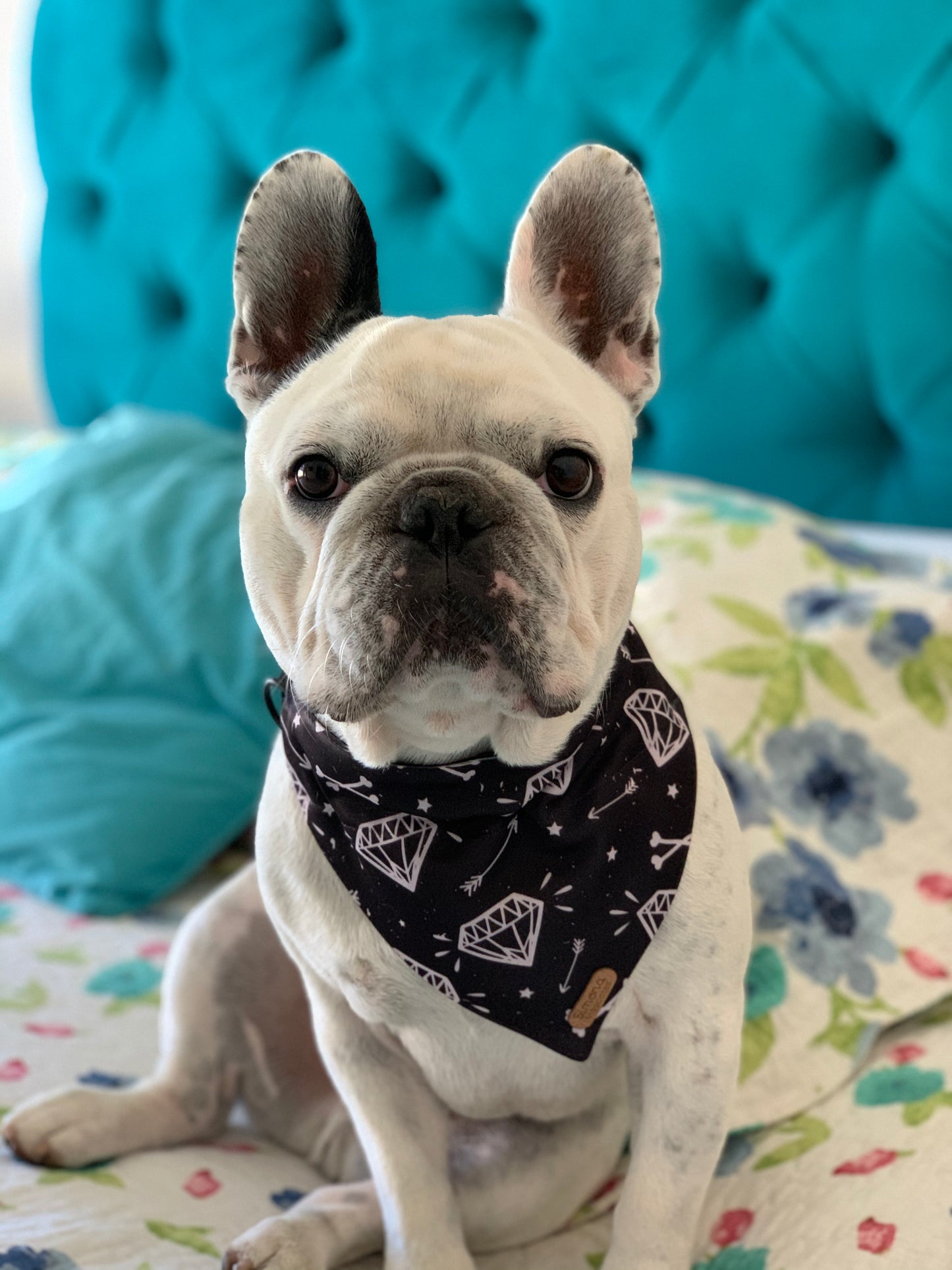 Bandana para Mascotas HAPPY STARS