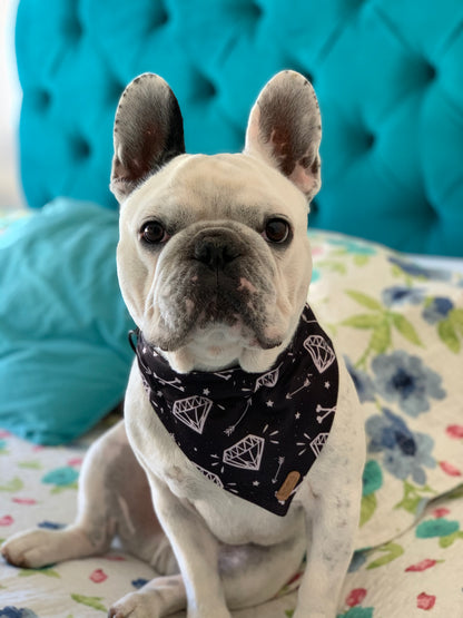 Bandana para Mascotas PIRATES